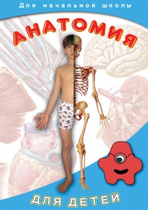 DVD "Анатомия для детей" - fgospostavki.ru - Артём