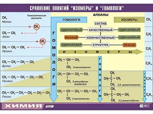 Таблица демонстрационная "Сравнение понятий изомер и гомолог" (винил 70x100) - fgospostavki.ru - Артём