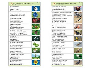 Комплект карточек (10) "Обучающий калейдоскоп. Природа" - fgospostavki.ru - Артём