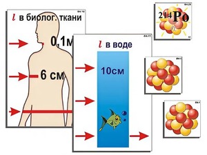 Модель-аппликация "Явление радиоактивности" (ламинированная) - fgospostavki.ru - Артём