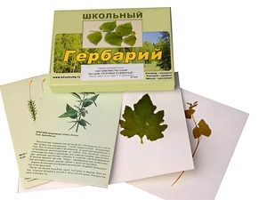 Гербарий "Систематика растений. Высшие споровые и семенные" (раздаточный) - fgospostavki.ru - Артём