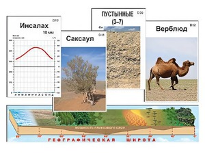 Модель-аппликация "Природные зоны" - fgospostavki.ru - Артём