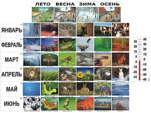 Фенологические наблюдения - fgospostavki.ru - Артём