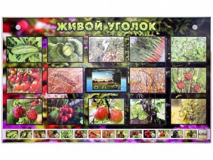 Комплект оборудования "Живой уголок" (растения) с тифлопереводом и сурдокомментариями - fgospostavki.ru - Артём