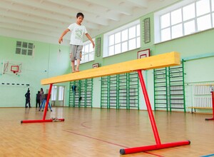 Бревно гимнастическое напольное постоянной высоты (700 мм) (5 м) - fgospostavki.ru - Артём