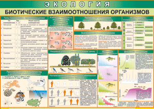 Таблица "Биотические взаимоотношения организмов" (100х140 сантиметров, винил) - fgospostavki.ru - Артём