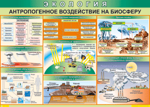 Таблица "Антропогенное воздействие на биосферу" (100х140 сантиметров, винил) - fgospostavki.ru - Артём