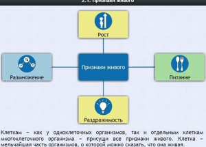 Интерактивные курсы. Биология 5 класс. Базовый - fgospostavki.ru - Артём