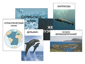 Модель-аппликация "Океаны. Знакомство" (ламинированная) - fgospostavki.ru - Артём