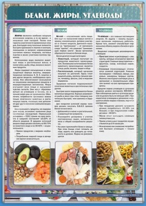 Стенд "Белки. Жиры. Углеводы" - fgospostavki.ru - Артём