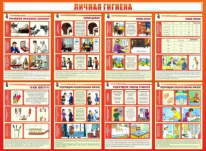Стенд "Личная гигиена" - fgospostavki.ru - Артём