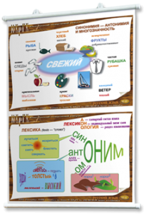 Плакаты по русскому языку для оформления кабинета. - fgospostavki.ru - Артём