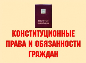 Комплект плакатов "Конституционные права и обязанности граждан" - fgospostavki.ru - Артём