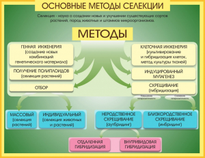 Стенд "Методы селекции и биотехнологии" - fgospostavki.ru - Артём