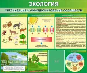 Стенд "Экология. Организация и функционирование сообществ" - fgospostavki.ru - Артём