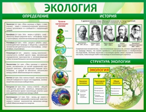 Стенд "Экология" - fgospostavki.ru - Артём