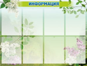 Стенд "Информация" Вариант 13 - fgospostavki.ru - Артём