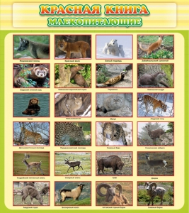 Стенд "Красная книга - млекопитающие" - fgospostavki.ru - Артём