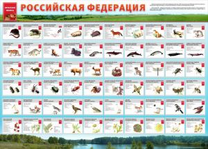 Стенд "Красная книга РФ" - fgospostavki.ru - Артём