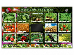 Комплект оборудования "Живой уголок" (растения) - fgospostavki.ru - Артём