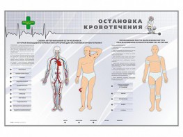 Электрифицированный стенд "Остановка кровотечения" - fgospostavki.ru - Артём