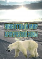 DVD "Животный мир Арктической зоны" - fgospostavki.ru - Артём