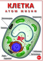 DVD "Клетка - "атом жизни" - fgospostavki.ru - Артём