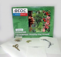 Гербарий "Основные группы растений" (52 листа) - fgospostavki.ru - Артём