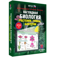 Наглядная биология. 6 класс. Растения. Грибы. Бактерии - fgospostavki.ru - Артём