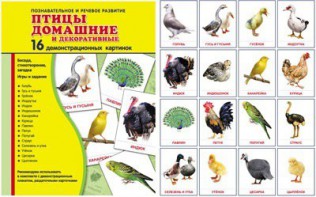 Демонстрационные карточки "Птицы домашние и декоративные" - fgospostavki.ru - Артём