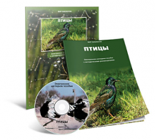 Электронное наглядное пособие «Птицы» - fgospostavki.ru - Артём