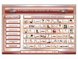 Трехсекционный базовый комплект "Травмы. Кровотечения. Ожоги" для учащихся общеобразовательных учреждений - fgospostavki.ru - Артём