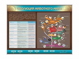 Интерактивный электрифицированный стенд "Эволюция животного мира" - fgospostavki.ru - Артём