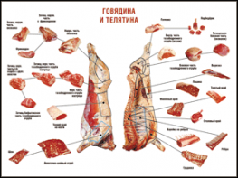 Таблица "Правила разделки мясных туш. Говядина и телятина" (100х140 сантиметров, винил) - fgospostavki.ru - Артём