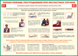 Таблица "Порядок действий при переломах конечностей" (100х140 сантиметров, винил) - fgospostavki.ru - Артём