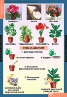 Комплект таблиц. Окружающий мир 1 класс. - fgospostavki.ru - Артём