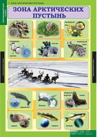 Комплект таблиц. Окружающий мир 4 класс. - fgospostavki.ru - Артём