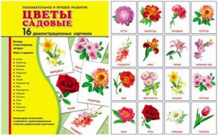 Демонстрационные карточки "Цветы садовые" - fgospostavki.ru - Артём
