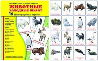 Демонстрационные карточки "Животные холодных широт" - fgospostavki.ru - Артём