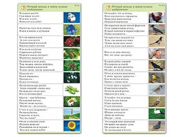 Комплект карточек (10) "Обучающий калейдоскоп. Природа" - fgospostavki.ru - Артём