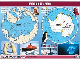 Таблица демонстрационная "Арктика и Антарктика" (винил 100*140) - fgospostavki.ru - Артём
