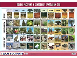 Таблица демонстрационная "Почвы, растения и животные природных зон" (винил 70*100) - fgospostavki.ru - Артём