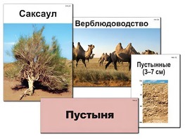 Модель-аппликация "Природные зоны России" (ламинированная) - fgospostavki.ru - Артём