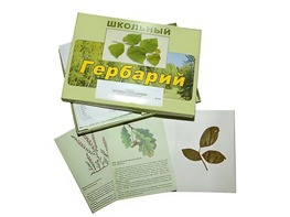 Гербарий "Дикорастущие растения" (30 видов, с иллюстрациями) - fgospostavki.ru - Артём
