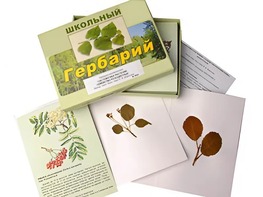 Гербарий "Систематика растений. Семейство Розоцветные" (раздаточный) - fgospostavki.ru - Артём