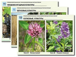 Гербарий фотографический "Сельскохозяйственные растения России" - fgospostavki.ru - Артём