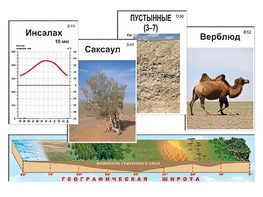 Модель-аппликация "Природные зоны" - fgospostavki.ru - Артём