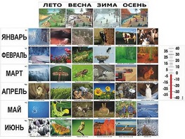 Фенологические наблюдения - fgospostavki.ru - Артём
