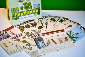 Гербарий к курсу основ общей биологии - fgospostavki.ru - Артём