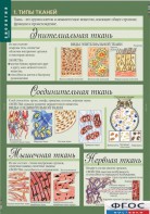 Комплект таблиц. Биология 8-9 класс. Человек. - fgospostavki.ru - Артём